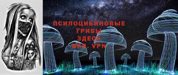 дурь Карпинск