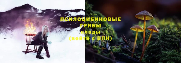 дурь Карпинск
