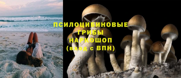 дурь Карпинск